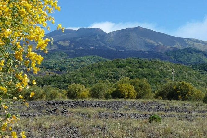Mt. Etna nature and flavors half day Tour from Catania - Sicilian honey, wine, and farm flavors