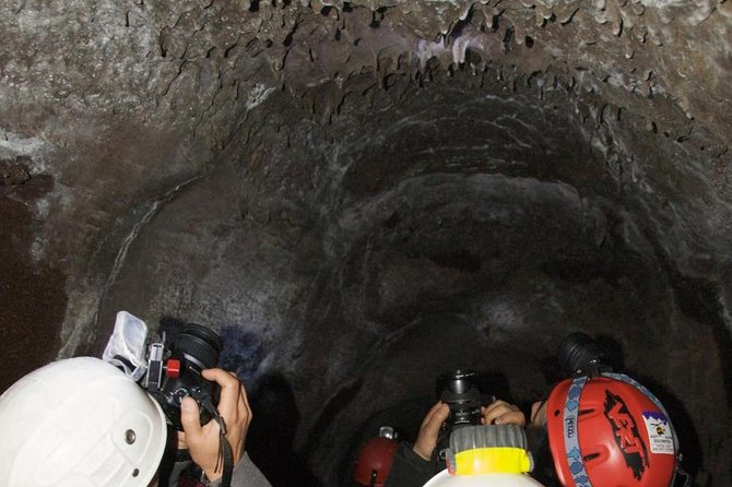 Mt. Etna nature and flavors half day Tour from Catania - What the guides add to the day