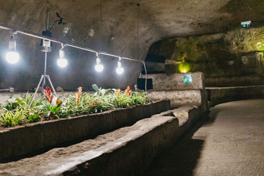 Naples: Naples Underground Entry Ticket and Guided Tour - Is the pizza option worth adding?