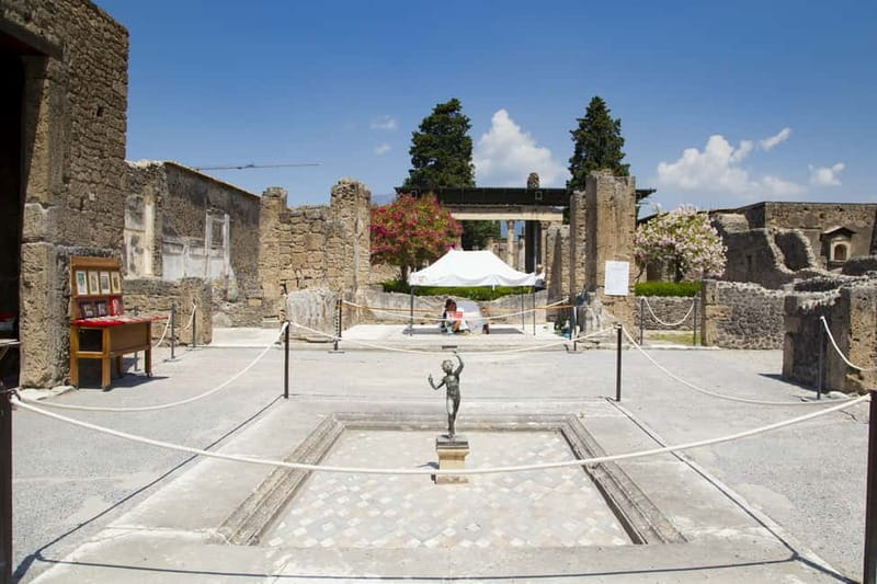 Naples or Sorrento: Full-Day Pompeii and Mount Vesuvius Tour - Pompeii before the heat and crowds