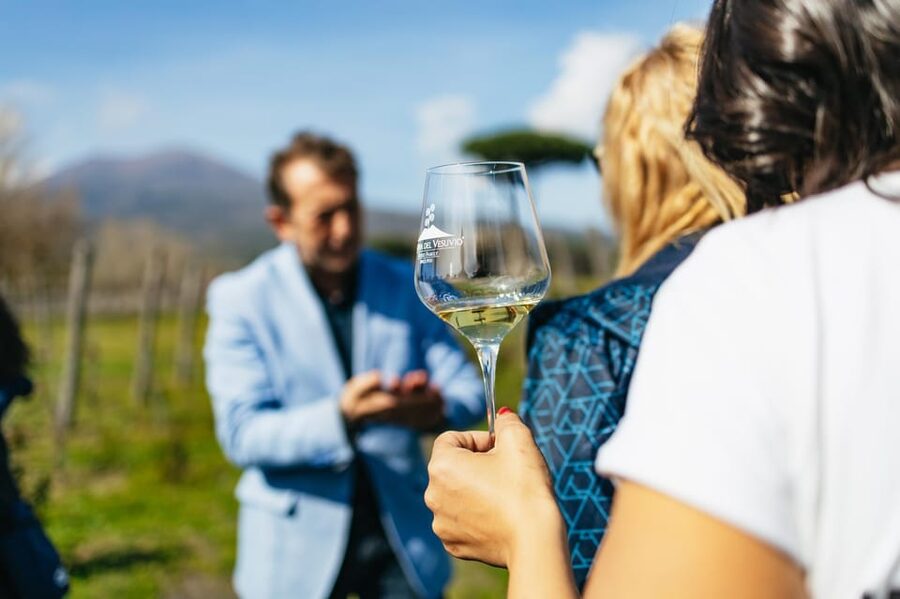 Naples: Pompeii and Mt. Vesuvius with Lunch and Wine Tasting - Pompeii in two hours with an archaeological guide