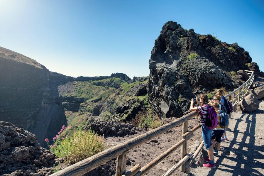 Naples: Pompeii & Mt. Vesuvius Day Trip with Tickets & Lunch - The classic walk to the Vesuvius crater