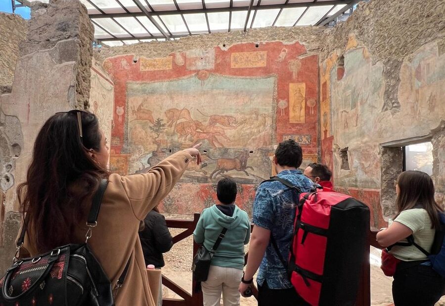 Naples: Pompeii & Mt. Vesuvius Day Trip with Tickets & Lunch - Meeting your minibus in Naples