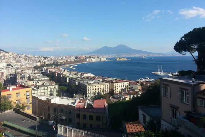 Naples Shore Excursion: Naples City and Pompeii Half Day Sightseeing Tour - Meeting your vehicle at the Naples cruise port