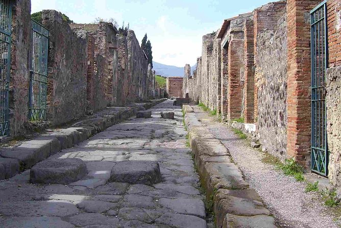 Naples Shore Excursion: Pompeii Half Day Trip from Naples - Shared transport can be the tour’s weak link