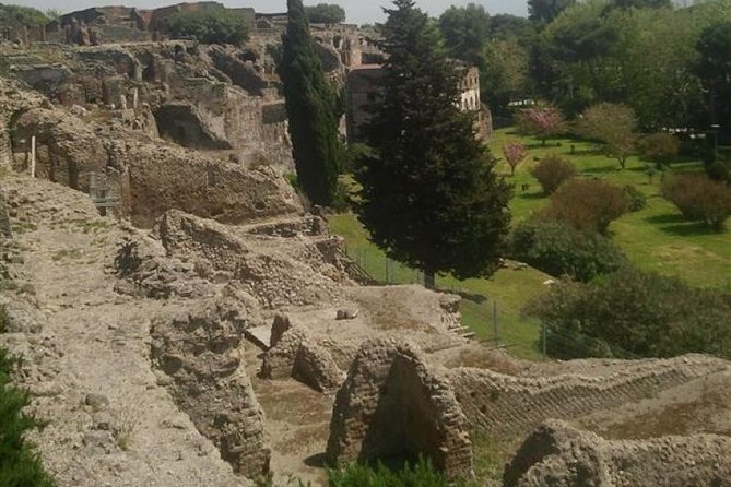 Naples Shore Excursion: Pompeii Half Day Trip from Naples - Heat, crowds, and footing shape the day