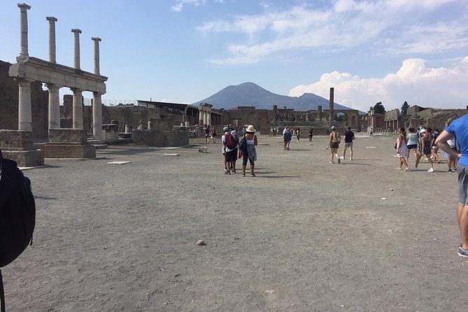 Naples Shore Excursion: Pompeii Half Day Trip from Naples - Who should book this Pompeii trip?