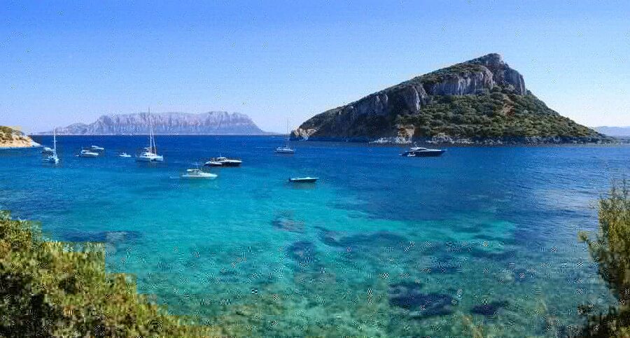 Olbia: Dolphin Watching and Snorkeling Boat Tour - Dolphins are the reason to go
