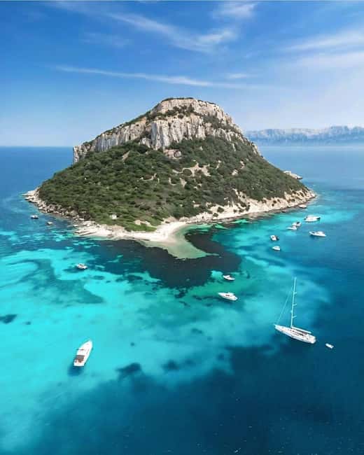 Olbia: Dolphin Watching & Snorkeling Boat Tour near Figarolo - Capo Figari: dolphins beside the boat
