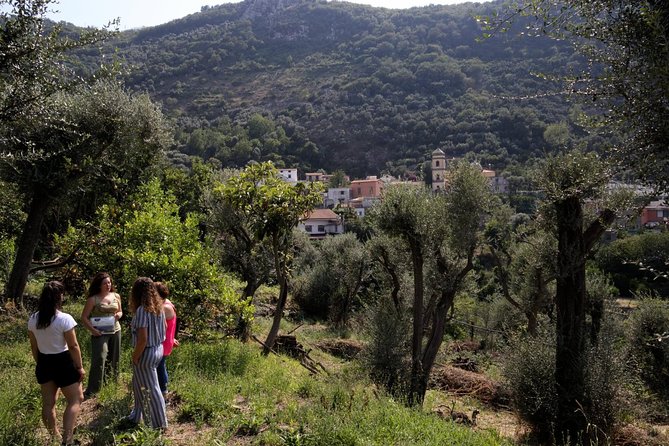 Olive oil tasting in Sorrento - Homemade liqueurs close the tasting