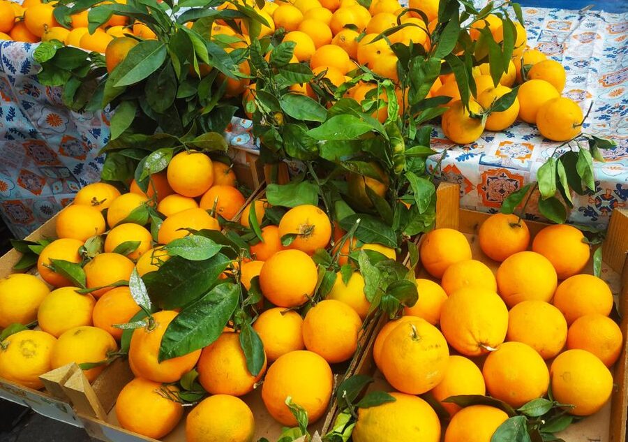 Palermo: Street Food Walking Tour with Local Guide & Tasting - Starting at Teatro Massimo in Piazza Giuseppe Verdi
