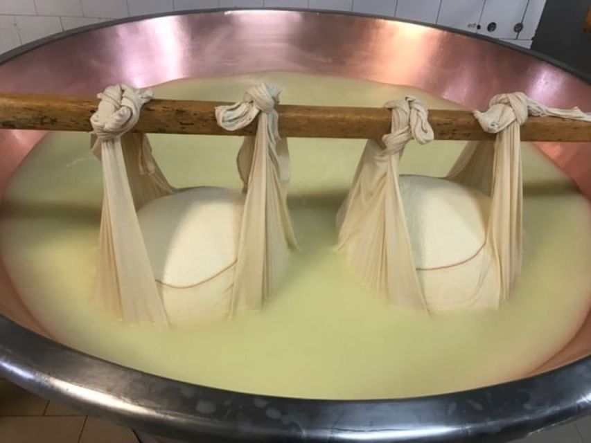 Parma: Parmigiano Production and Parma Ham Tour & Tasting - Is $126.88 a fair price?