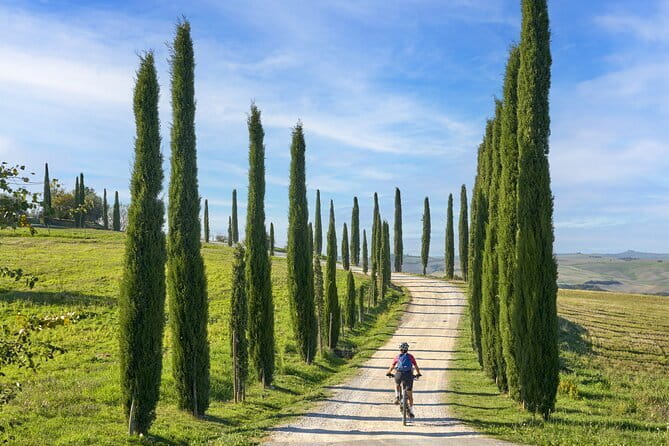 Pisa, Siena and San Gimignano Day Trip with Lunch & Wine Pairing - Who will get the most from this day trip