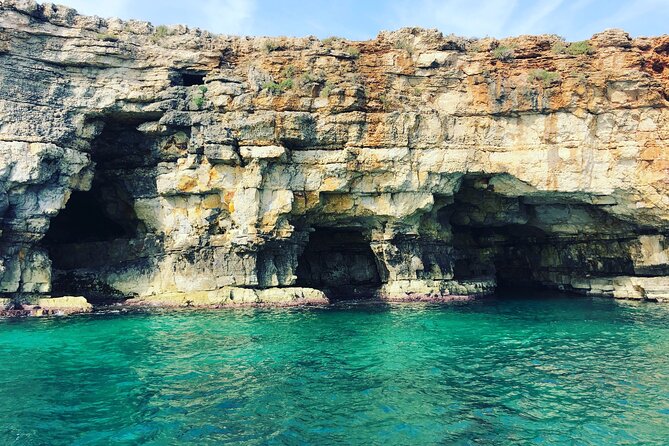 Polignano a Mare boat tour emotions, caves, diving and appetizers - Is $42.33 a fair price?