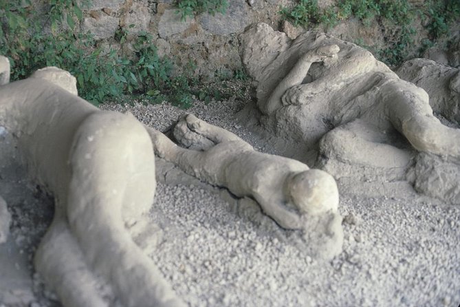 Pompeii and Mount Vesuvius Day Trip from Rome with Pizza Lunch - The coach ride, group size, and timing