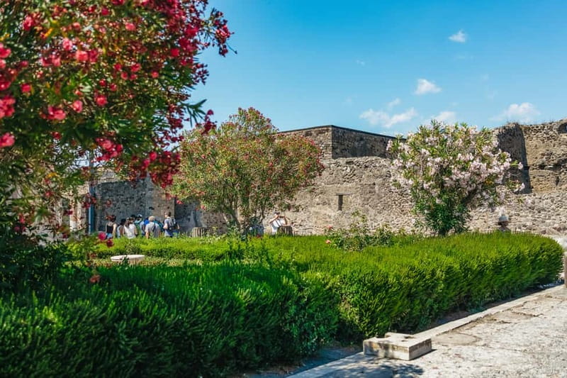 Pompeii: Archaeological Park Tour with Ticket on request - Key points to know before you book