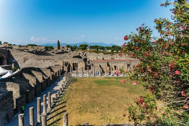 Pompeii: Archaeological Park Tour with Ticket on request - Why a guide helps at Pompeii