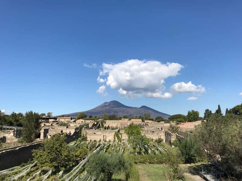 Pompeii: Exclusive Tour with Archaeologist and Entry Tickets - Meeting at Porta Marina, beside Pompeii Scavi station