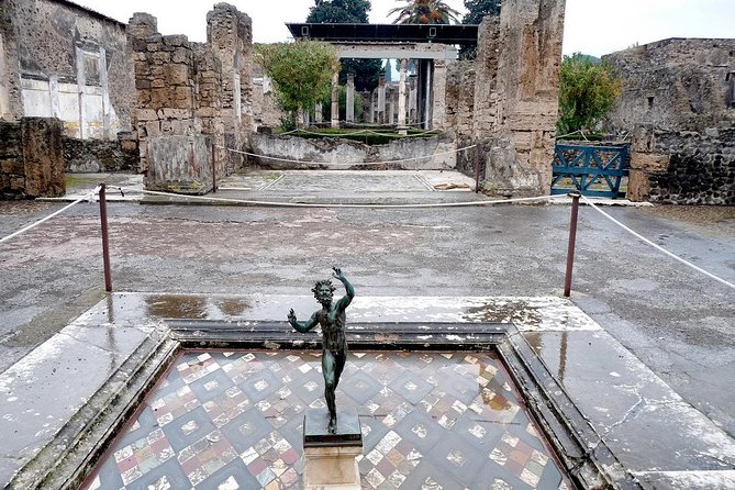 Pompeii Express Guided Tour by Train from Sorrento - What makes the guide important