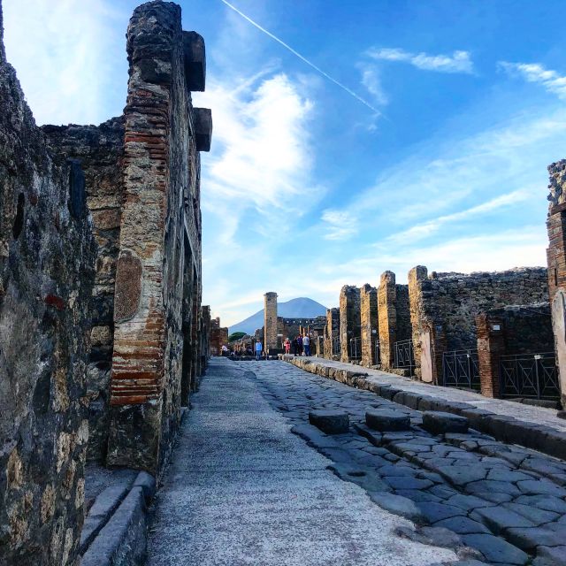 Pompeii: Guided Tour with Skip-the-Line Entry - Frescoes, Casts, and the Human Cost of the Eruption
