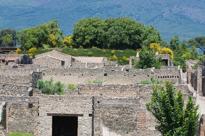 Pompeii Ruins Half-Day Tour from Sorrento with Guide - Crowds, weather, and the pace of the walk
