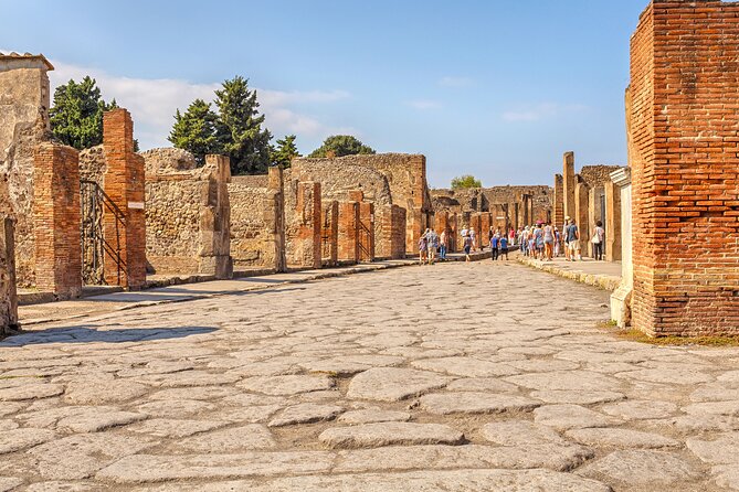 Pompeii Ticket + Tour with Optional Tasting Experience at Pompeii - Walking conditions, weather, and family needs