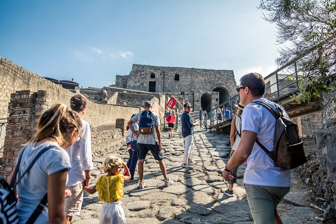 Priority Access Pompeii & Mt. Vesuvius Full day from Sorrento - Meeting in central Sorrento