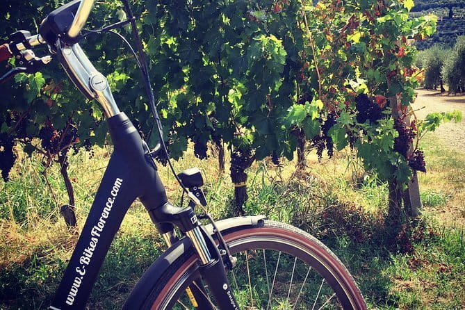 Private Self-Guided E-Bike Ride in Tuscany with Vineyard Visit - Key points at a glance