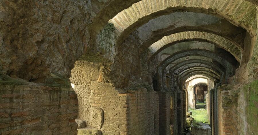 Rome: Ancient History and Colosseum Underground Tour - Walking on the Arena Floor