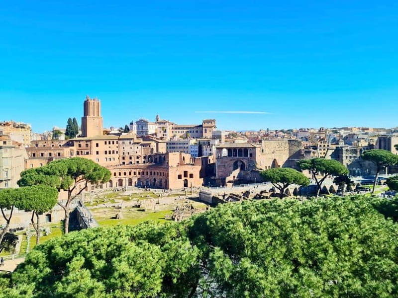 Rome: Colosseum Arena Guided Tour, Forum & Palatine Option - Key points to know before booking