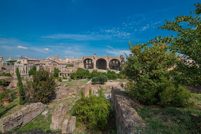 Rome: Colosseum Arena, Roman Forum & Palatine Hill Tour - Three hours sounds simple, but the route is demanding