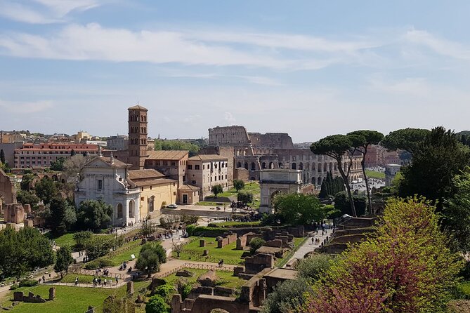 Rome: Colosseum, Palatine Hill and Roman Forum Guided Tour - Walking the Roman Forum’s Via Sacra