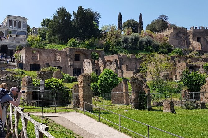 Rome: Colosseum, Palatine Hill and Roman Forum Guided Tour - The political heart of ancient Rome