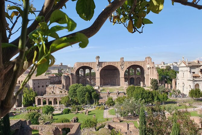 Rome: Colosseum, Roman Forum & Palatine Hill Experience - Live guide or audio app?