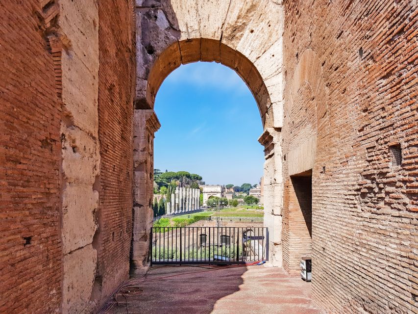 Rome: Colosseum, Roman Forum & Palatine Hill Tour - Full tour or express option?