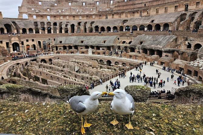 Rome: Colosseum, Roman Forum & Palatine Hill Visit + Audio Guide - Using the audio guide app inside the amphitheater