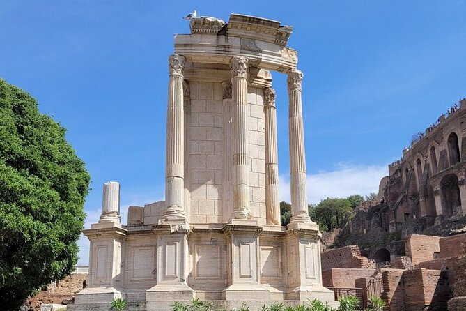Rome: Colosseum, Roman Forum & Palatine Hill Visit + Audio Guide - What the host does, and what the host does not do