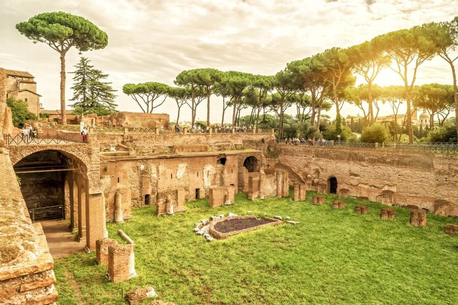 Rome: Colosseum Underground, Arena & Forum Tour - Palatine Hill views and extra time after the guide