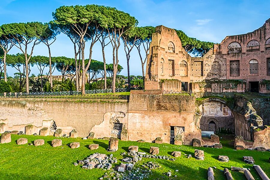 Rome: Guided Tour of Colosseum, Roman Forum & Palatine Hill - What $55 Buys You