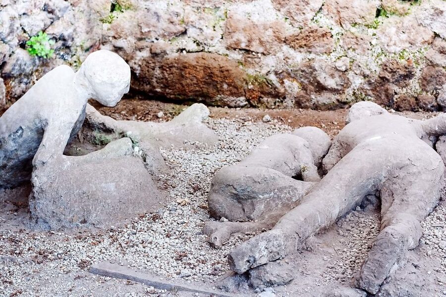 Rome: Pompeii and Naples Day Trip with Pompeii Entry Ticket - Who should book this experience?