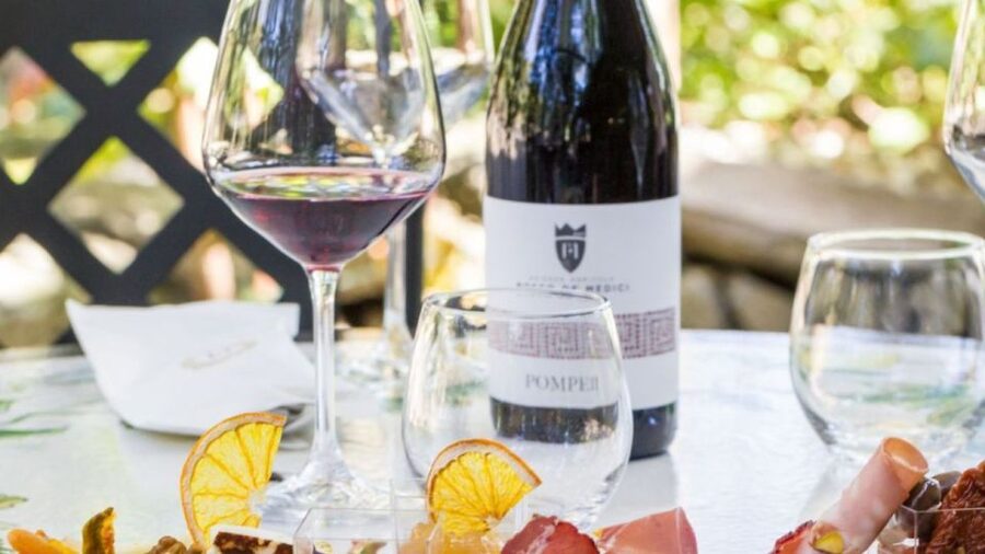Rome: Pompeii Tour with Wine and Lunch by High Speed Train - Why the high-speed train makes Pompeii possible from Rome