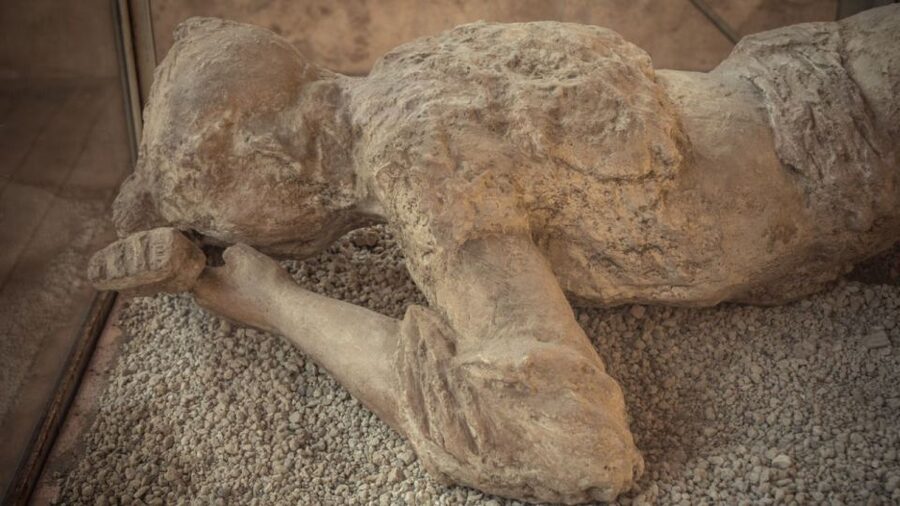 Rome: Pompeii Tour with Wine and Lunch by High Speed Train - Pompeii in 2.5 hours