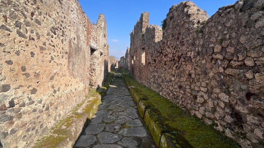 Rome: Pompeii Tour with Wine and Lunch by High Speed Train - Who will like this day trip