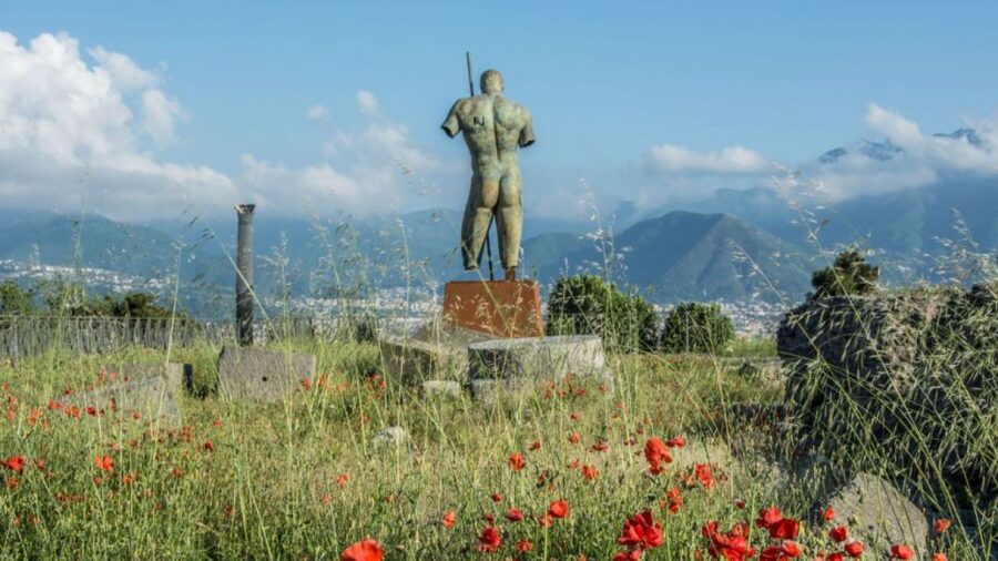 Rome: Pompeii Tour with Wine and Lunch by High Speed Train - From Naples to the gates of Pompeii