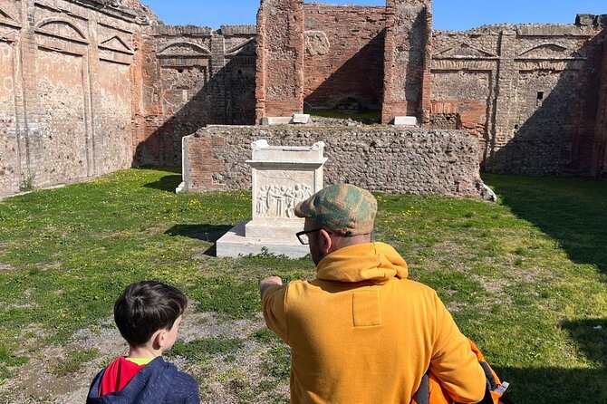 Rome to Pompeii Guided Tour with Wine & Lunch by High Speed Train - What makes the ruins worth the long day