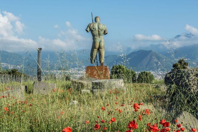 Rome to Pompeii Guided Tour with Wine & Lunch by High Speed Train - Group size, guide quality, and the pace