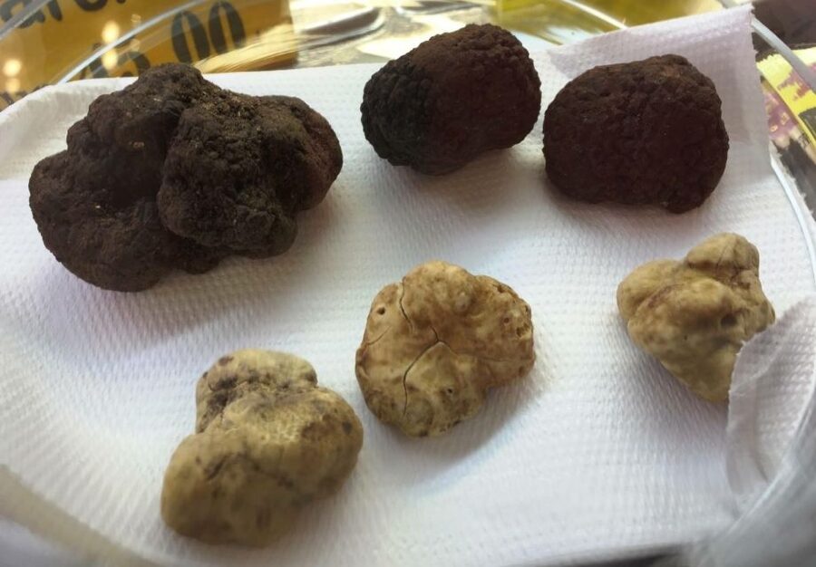 Rome: Trastevere Guided Food and Wine Tour with 20+ Tastings - The salumeria and its serious pantry