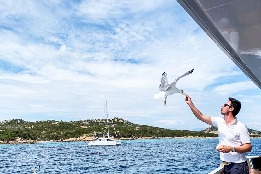 Sardinia: La Maddalena Archipelago Full-Day Trip by Boat - Commentary without constant loudspeakers