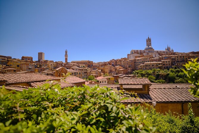 Siena, San Gimignano and Chianti Wines Day Tour from Florence - A full Tuscan sampler from Florence