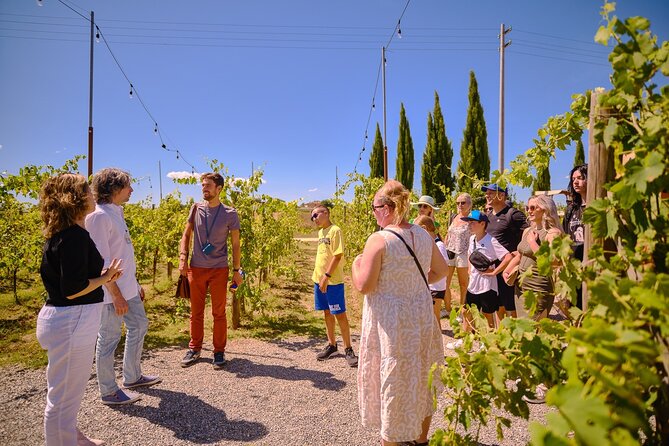 Siena, San Gimignano and Chianti Wines Day Tour from Florence - Siena from Piazza del Campo to the Duomo